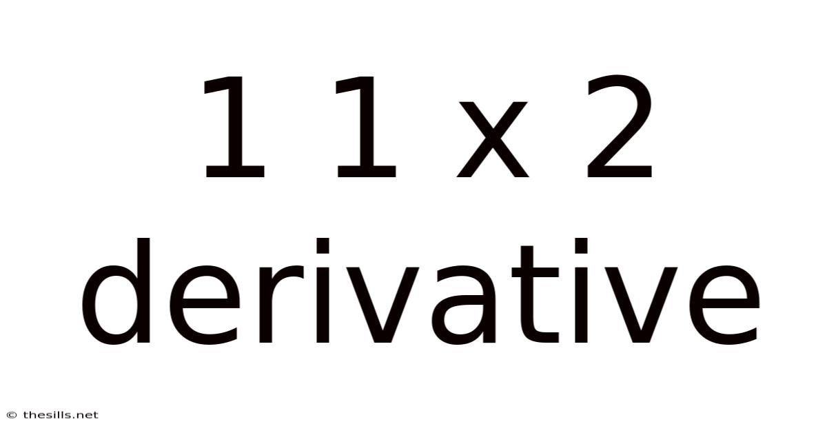 1 1 X 2 Derivative
