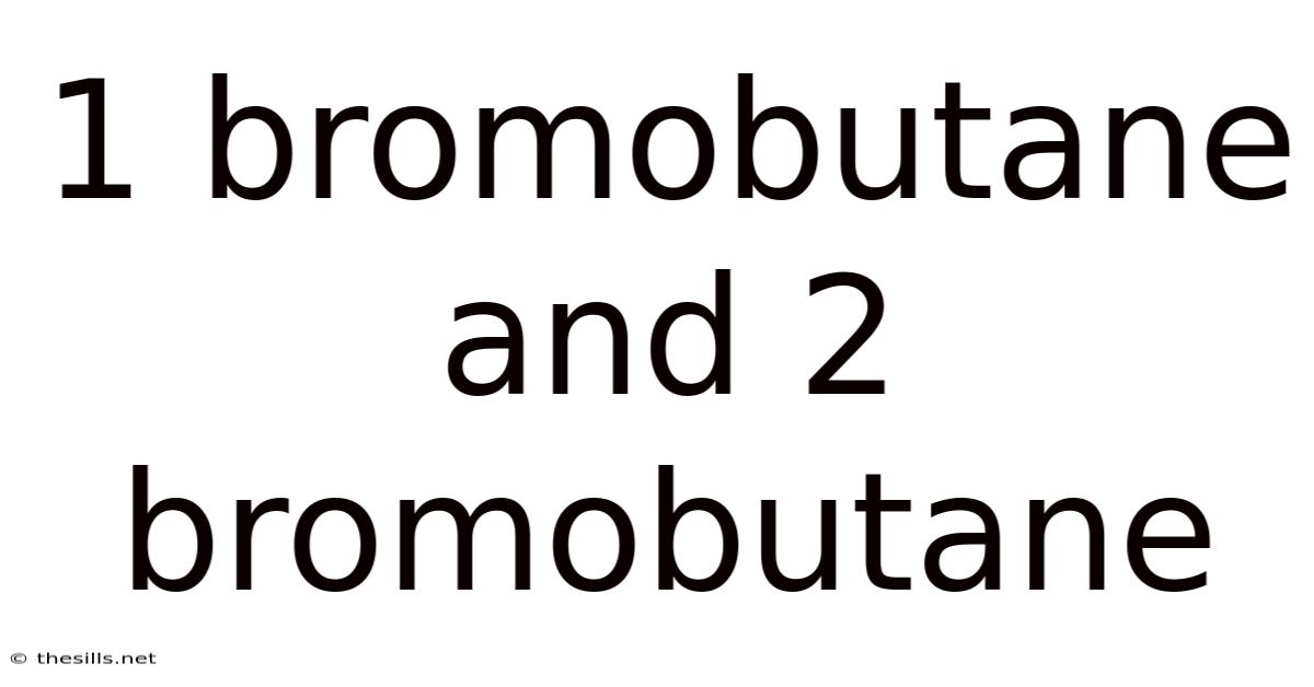 1 Bromobutane And 2 Bromobutane