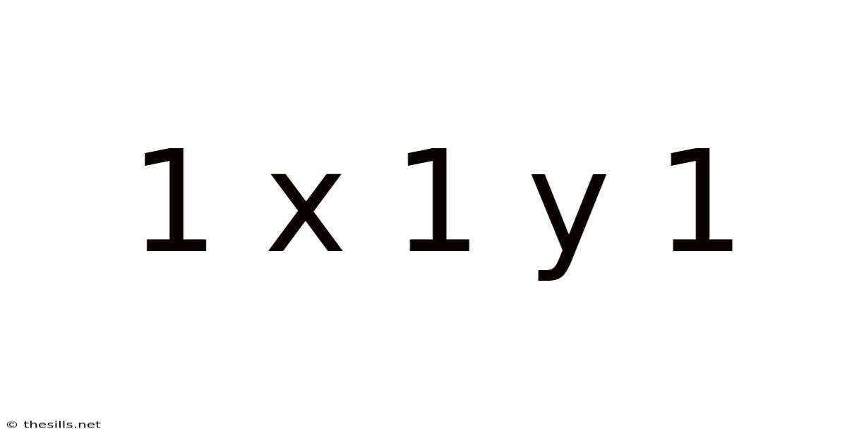 1 X 1 Y 1