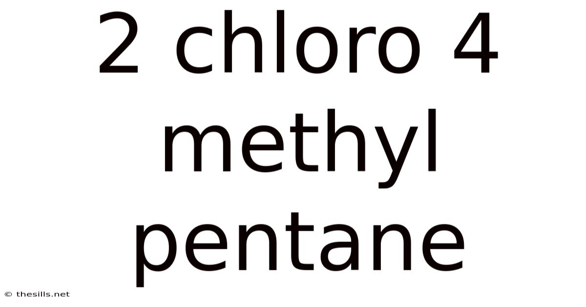 2 Chloro 4 Methyl Pentane