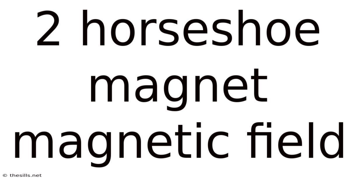 2 Horseshoe Magnet Magnetic Field