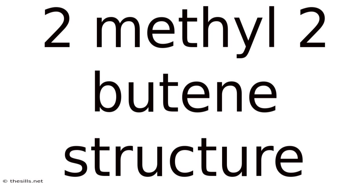 2 Methyl 2 Butene Structure