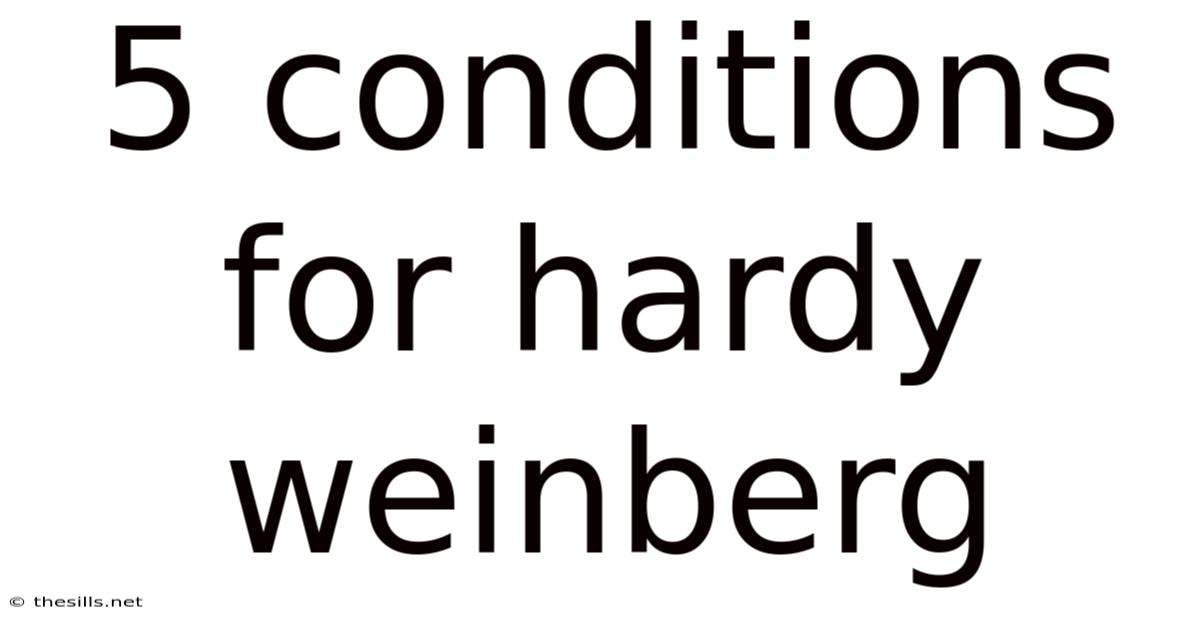 5 Conditions For Hardy Weinberg