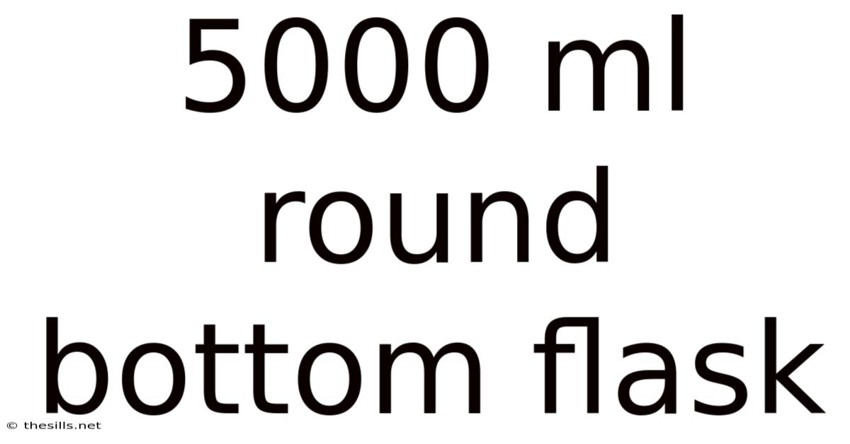 5000 Ml Round Bottom Flask