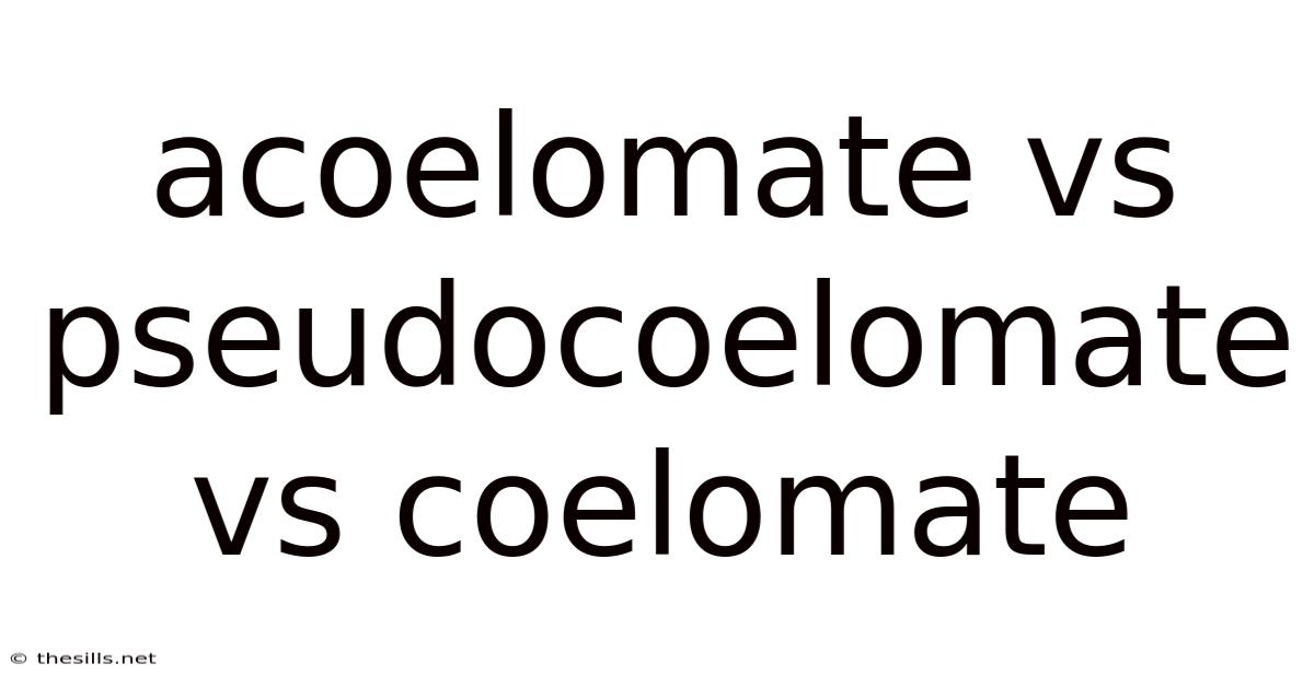 Acoelomate Vs Pseudocoelomate Vs Coelomate