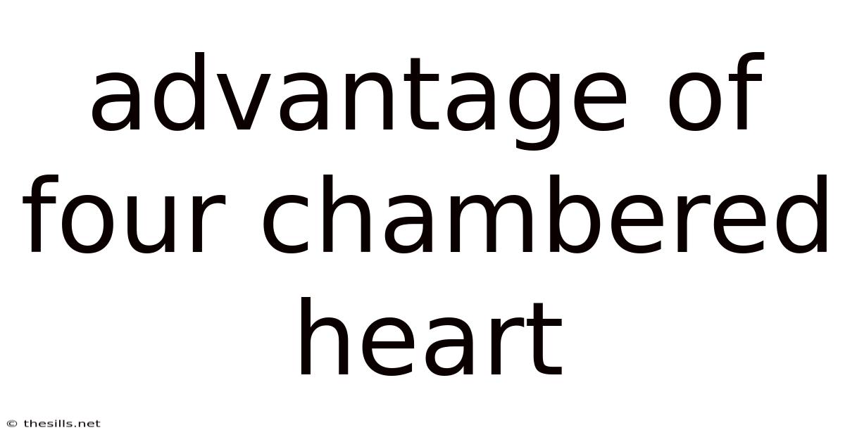 Advantage Of Four Chambered Heart