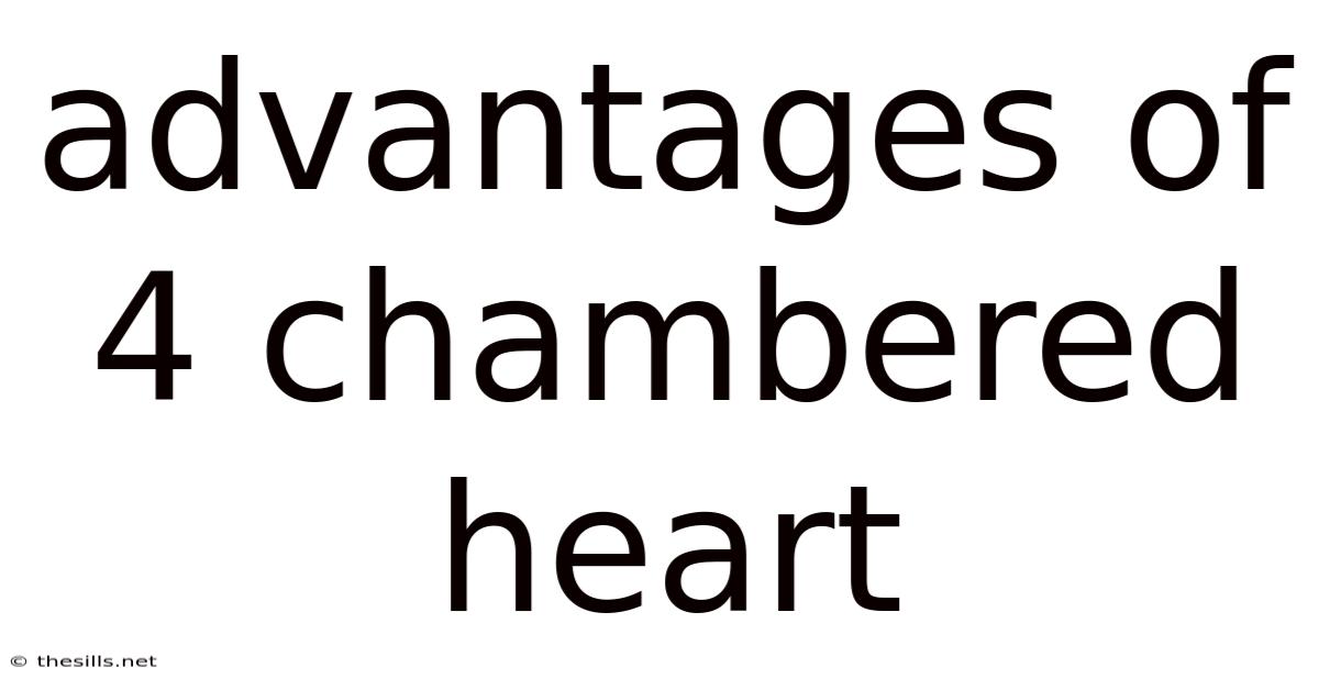 Advantages Of 4 Chambered Heart