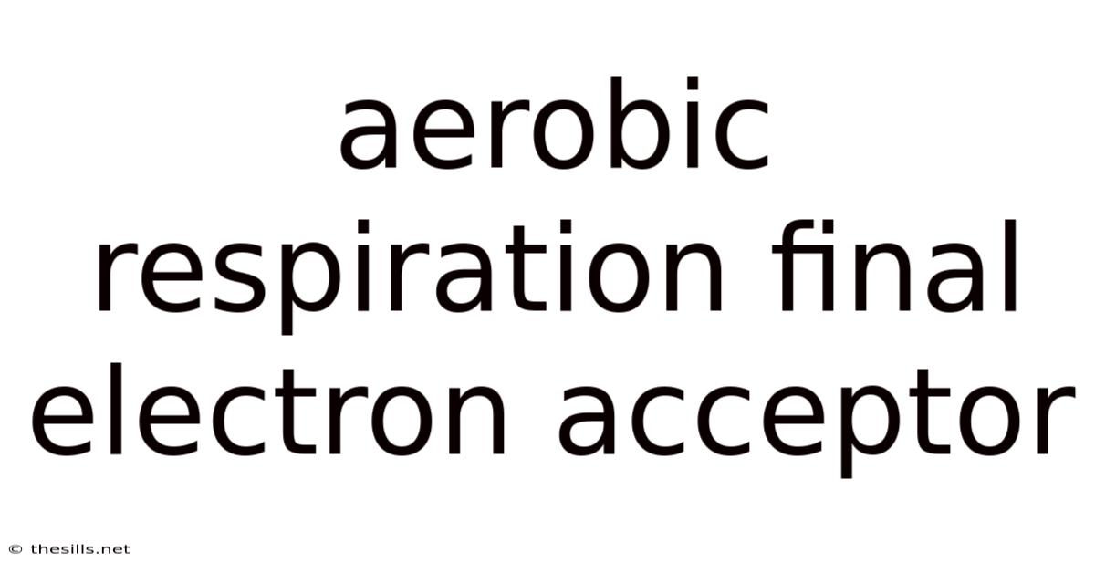 Aerobic Respiration Final Electron Acceptor