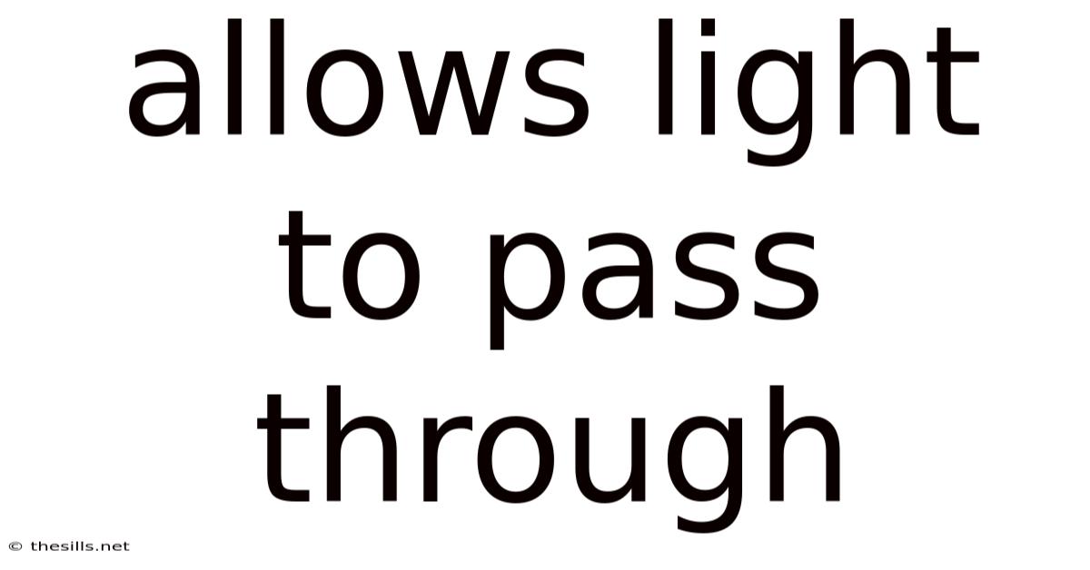 Allows Light To Pass Through