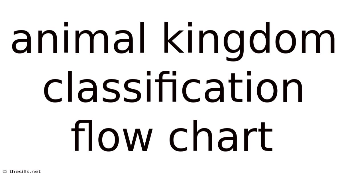 Animal Kingdom Classification Flow Chart