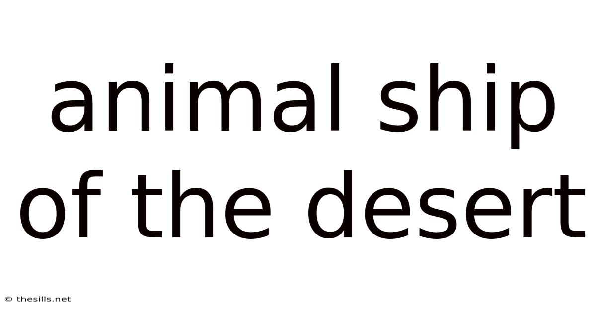 Animal Ship Of The Desert