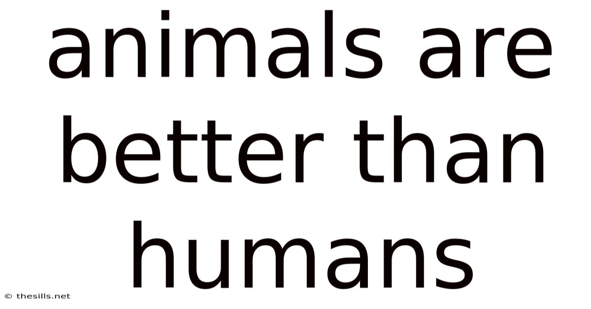 Animals Are Better Than Humans