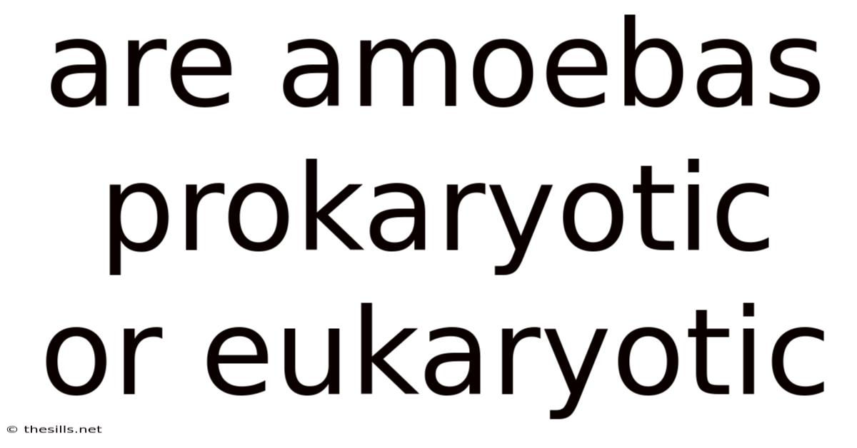 Are Amoebas Prokaryotic Or Eukaryotic