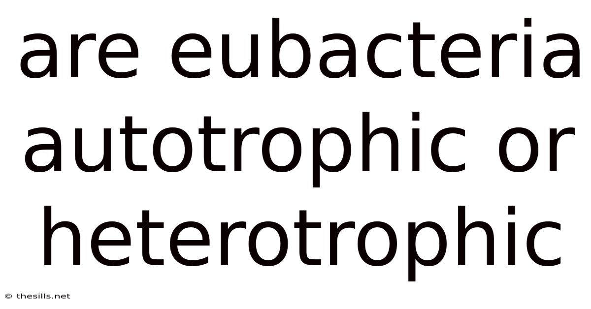 Are Eubacteria Autotrophic Or Heterotrophic