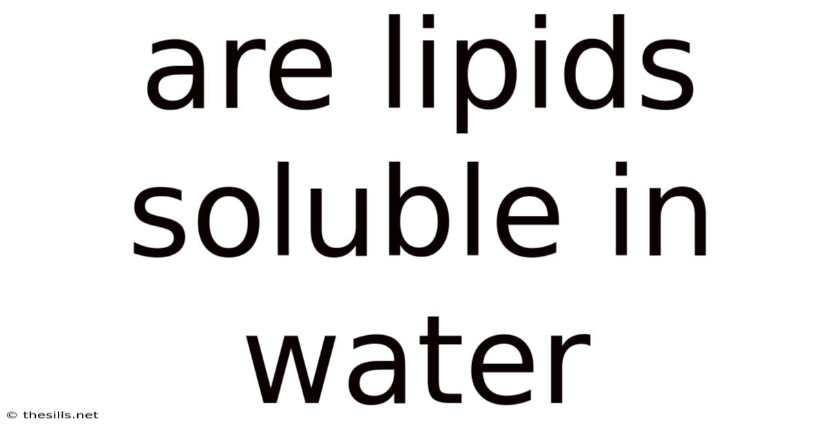 Are Lipids Soluble In Water