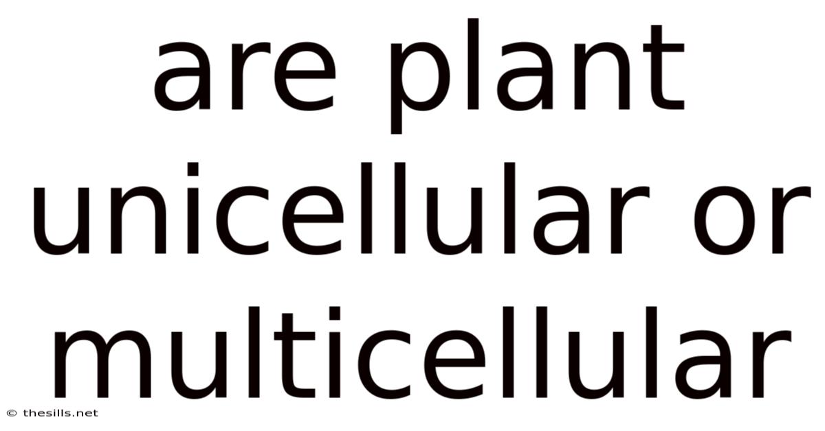 Are Plant Unicellular Or Multicellular
