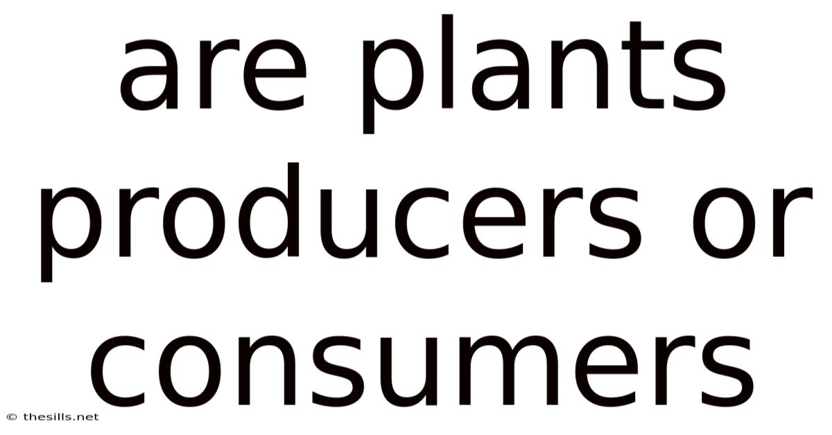 Are Plants Producers Or Consumers