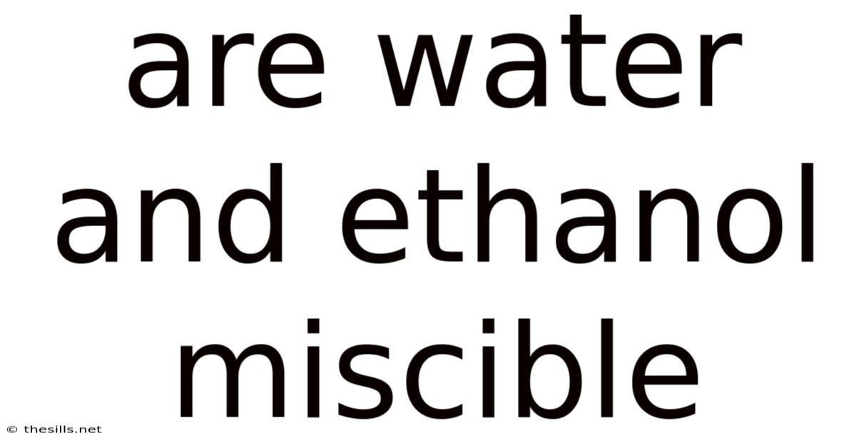 Are Water And Ethanol Miscible