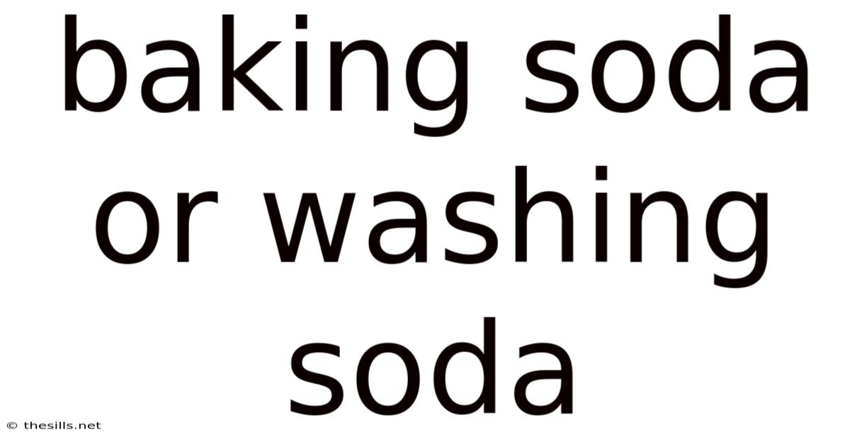 Baking Soda Or Washing Soda
