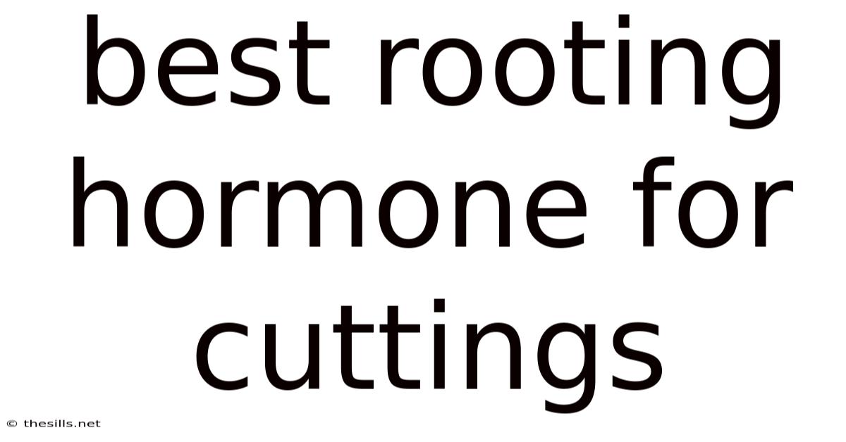 Best Rooting Hormone For Cuttings