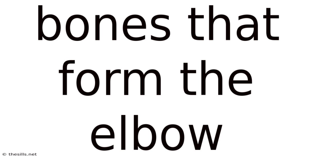 Bones That Form The Elbow