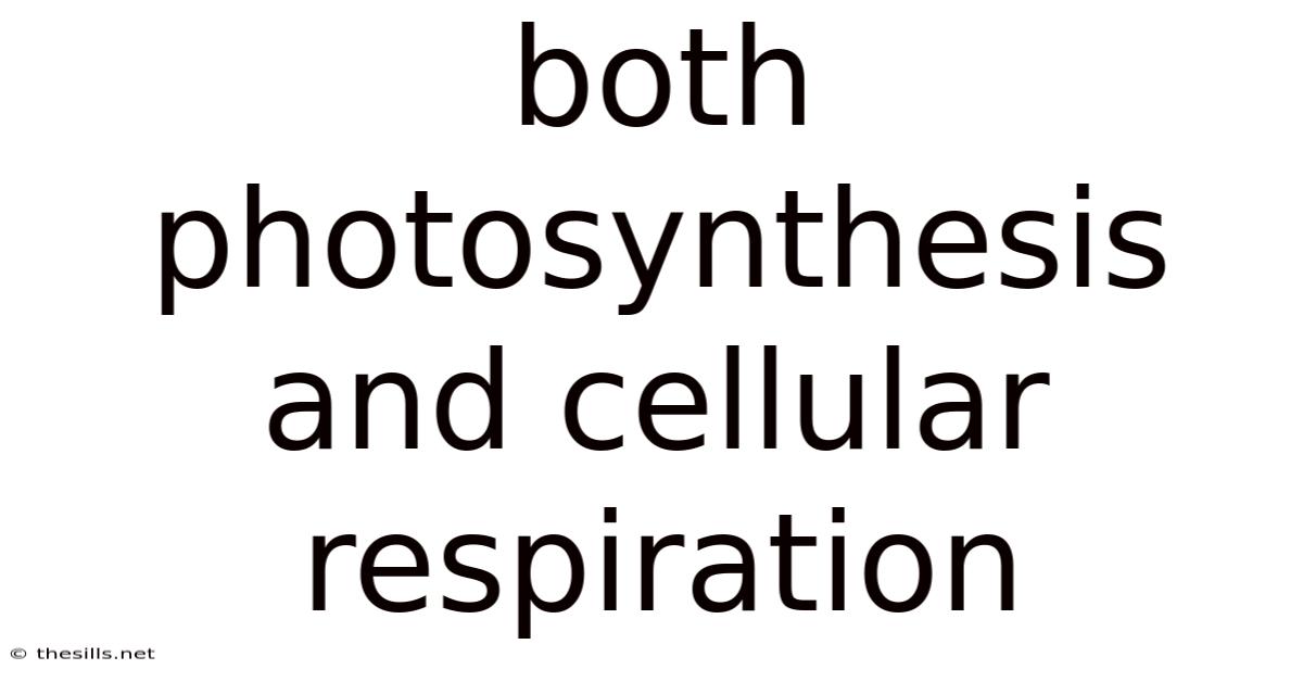 Both Photosynthesis And Cellular Respiration