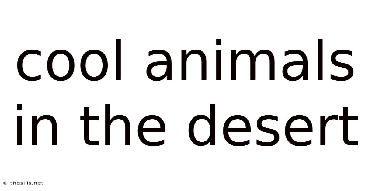 Cool Animals In The Desert