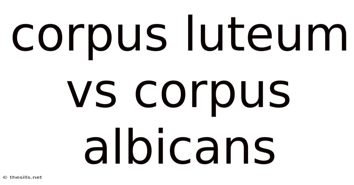 Corpus Luteum Vs Corpus Albicans