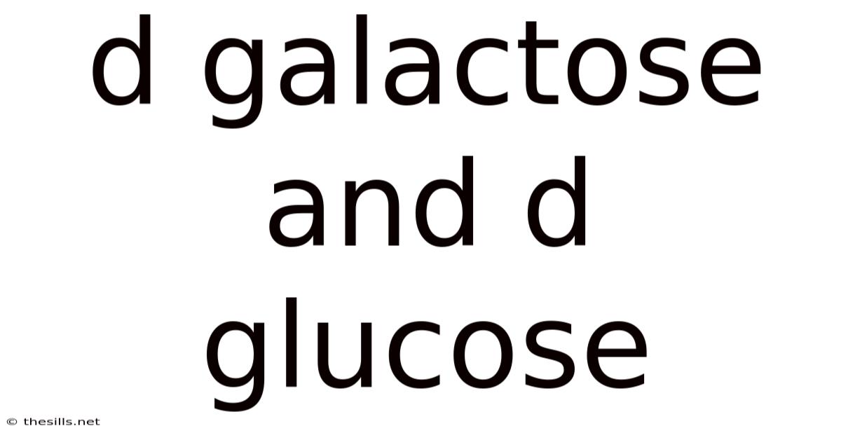 D Galactose And D Glucose