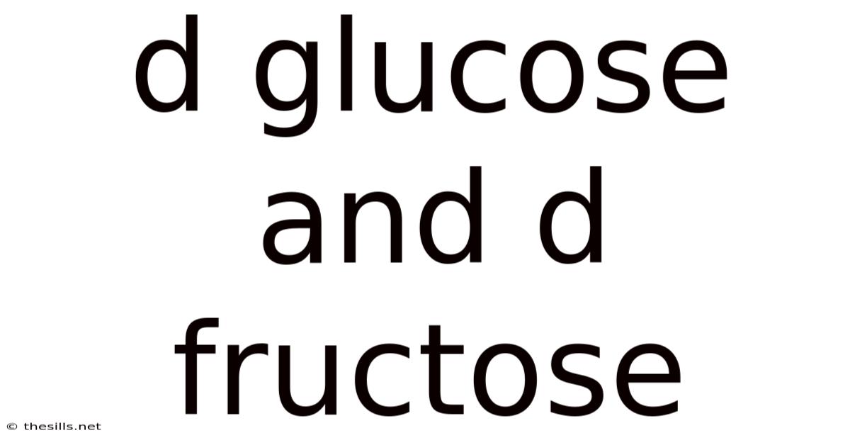 D Glucose And D Fructose