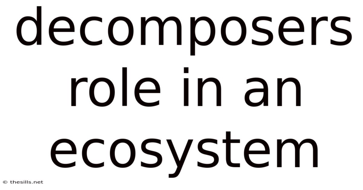 Decomposers Role In An Ecosystem