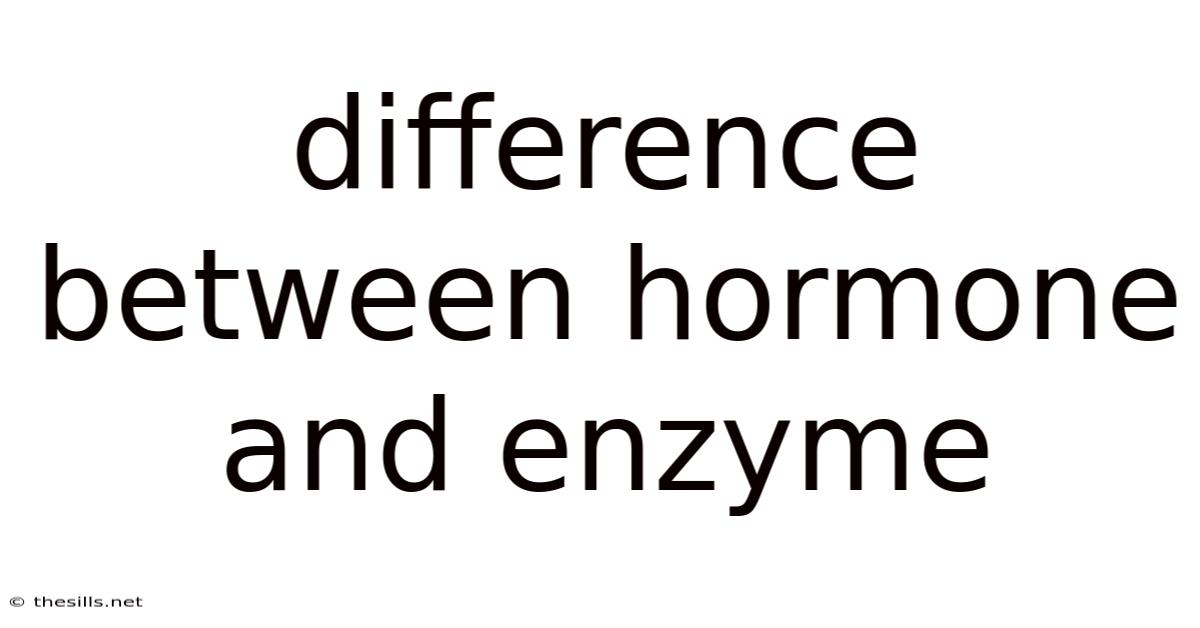 Difference Between Hormone And Enzyme
