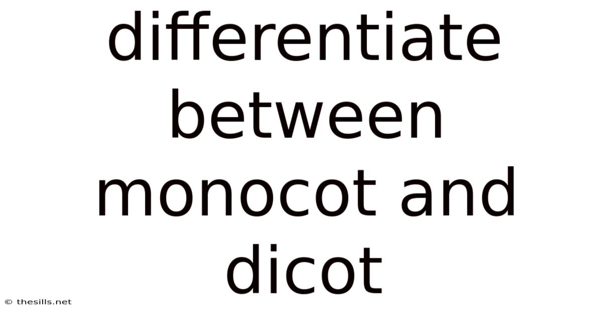 Differentiate Between Monocot And Dicot