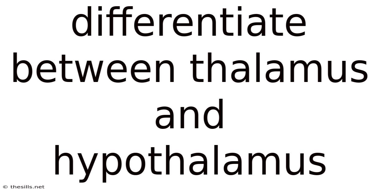 Differentiate Between Thalamus And Hypothalamus