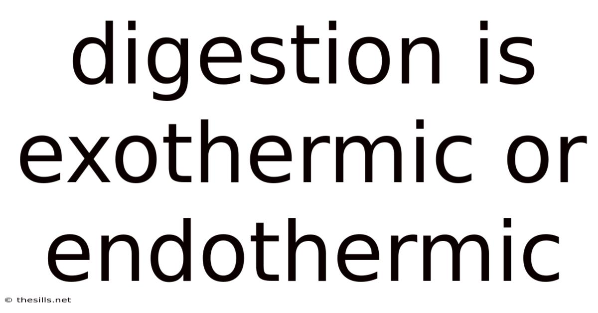 Digestion Is Exothermic Or Endothermic