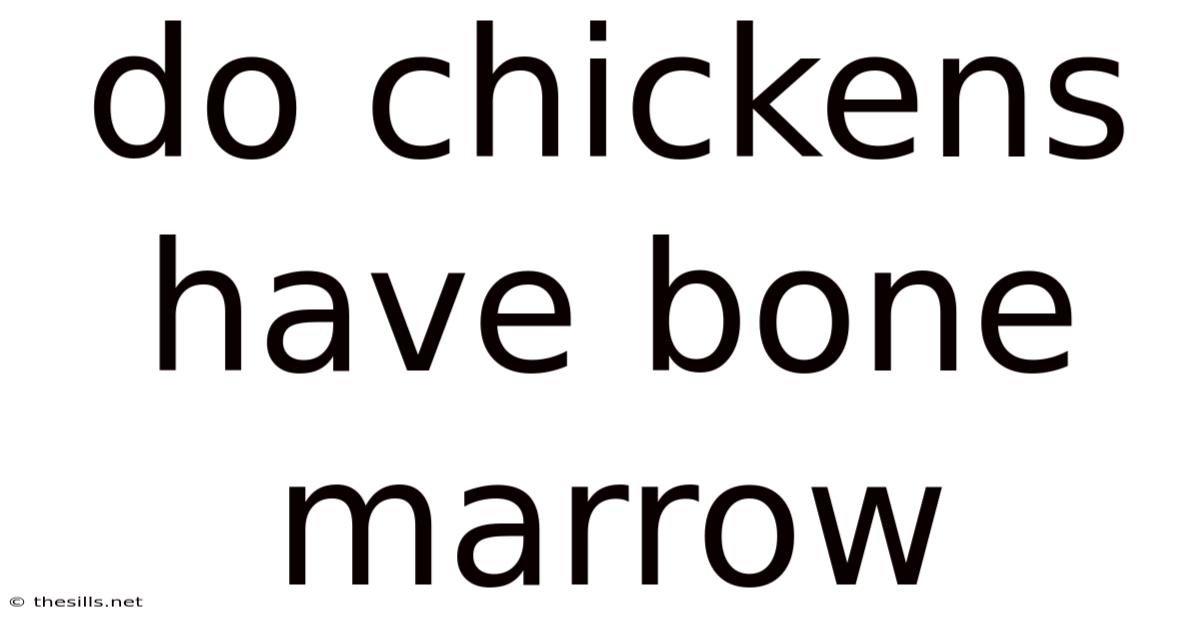 Do Chickens Have Bone Marrow