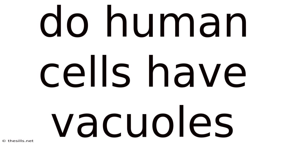 Do Human Cells Have Vacuoles