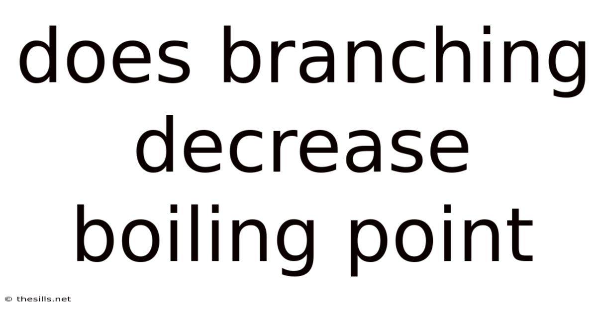Does Branching Decrease Boiling Point