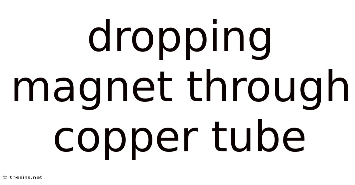 Dropping Magnet Through Copper Tube