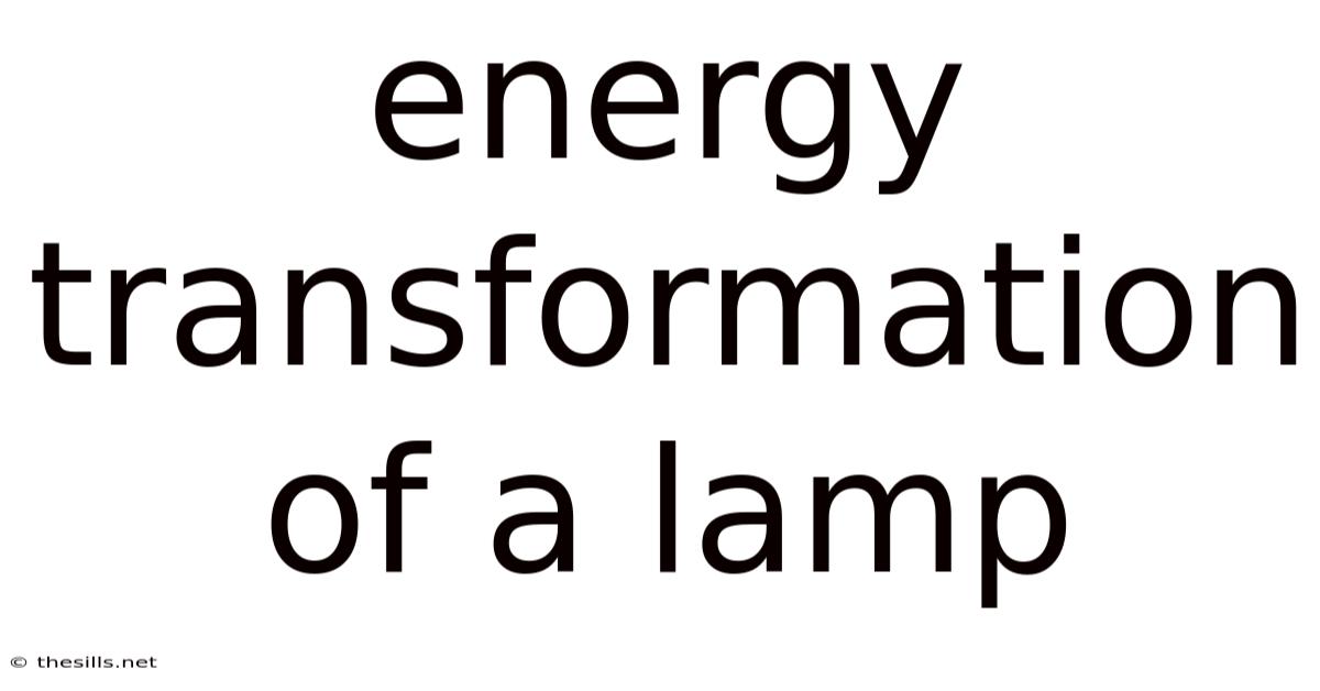 Energy Transformation Of A Lamp