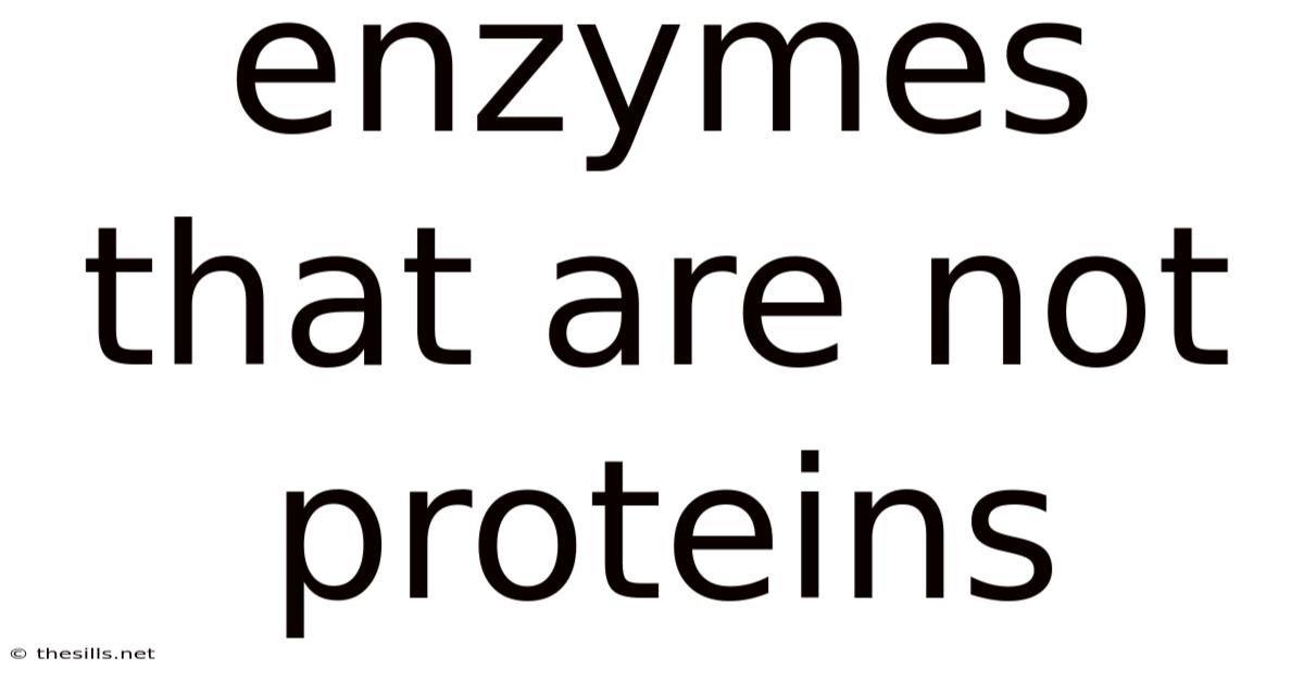 Enzymes That Are Not Proteins
