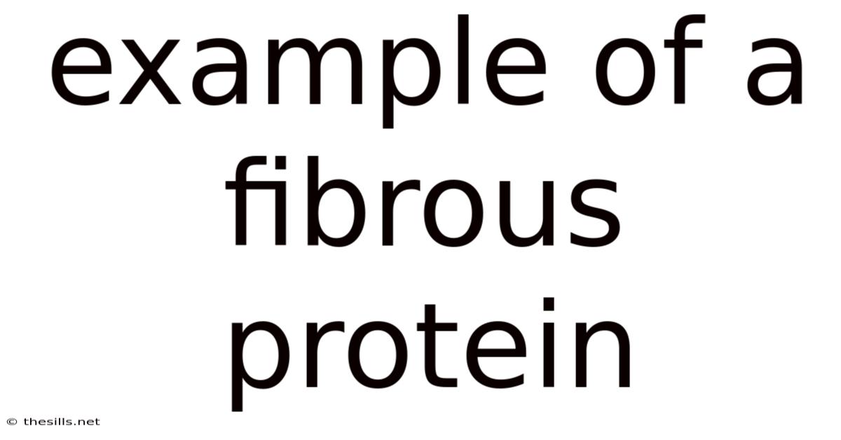 Example Of A Fibrous Protein