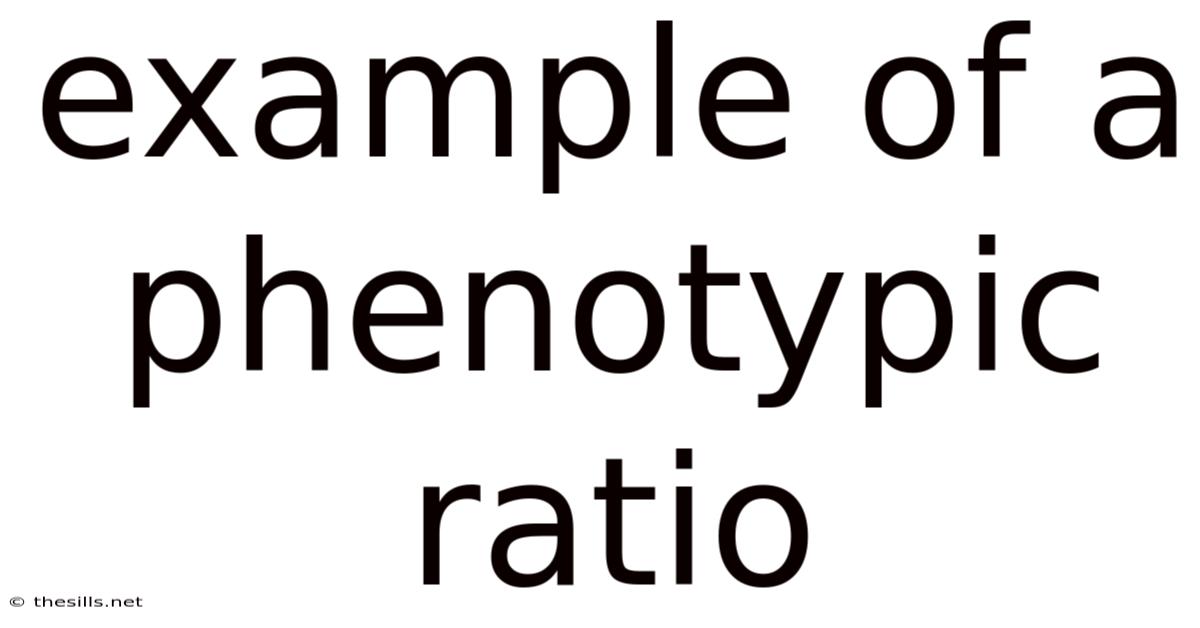 Example Of A Phenotypic Ratio