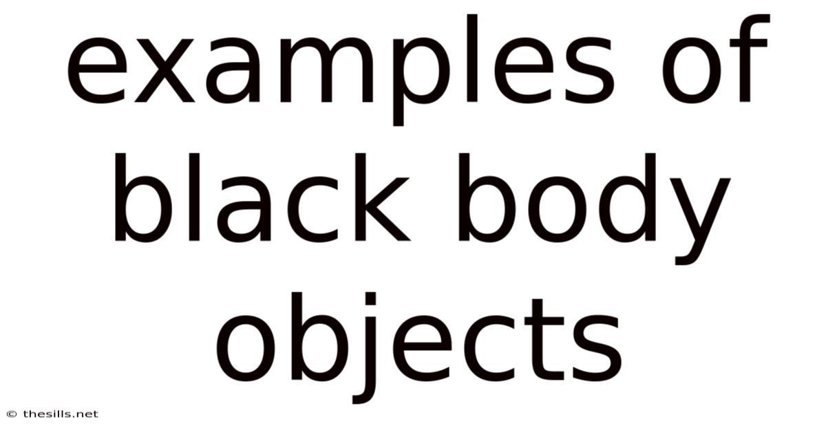 Examples Of Black Body Objects