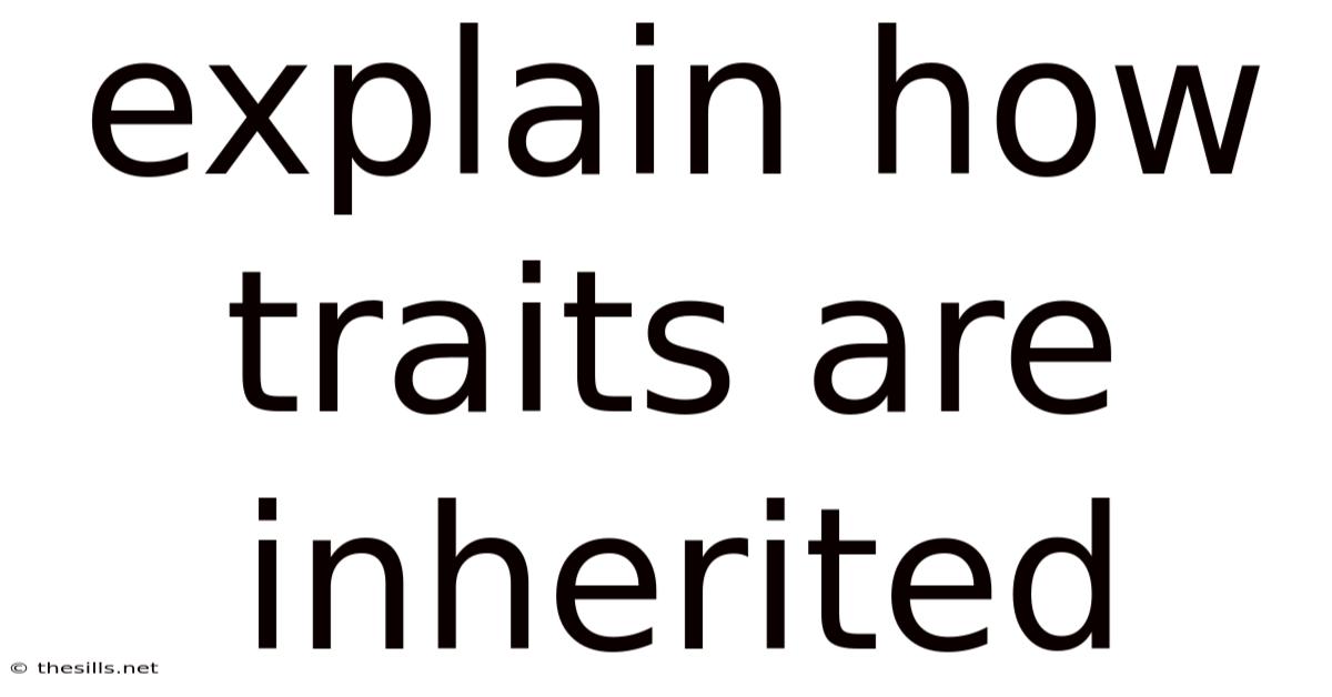 Explain How Traits Are Inherited