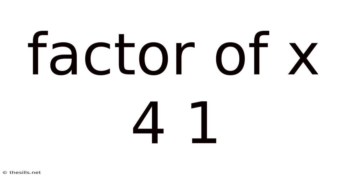 Factor Of X 4 1