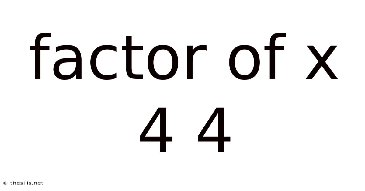 Factor Of X 4 4