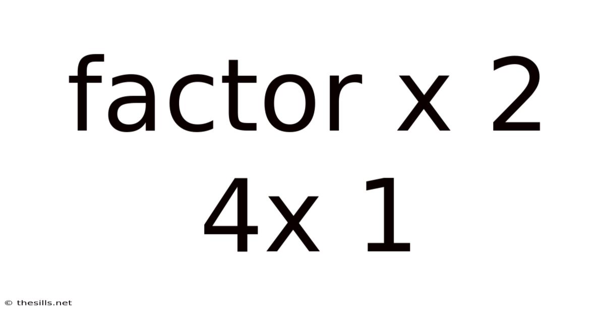 Factor X 2 4x 1