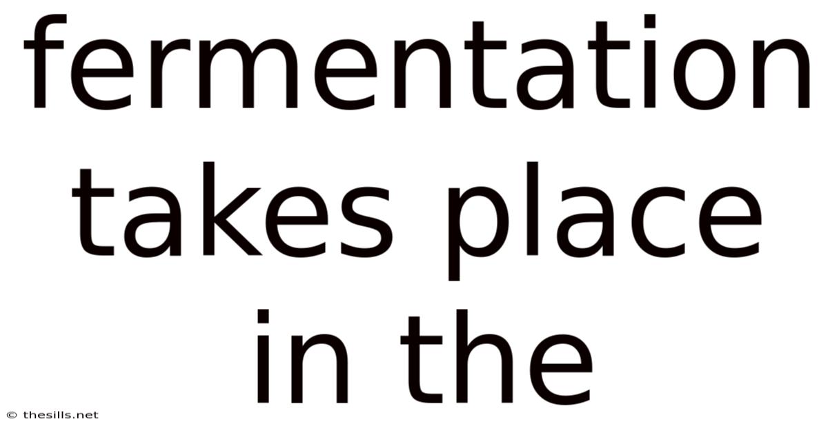 Fermentation Takes Place In The