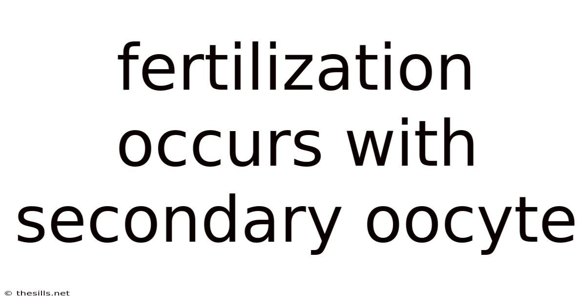 Fertilization Occurs With Secondary Oocyte